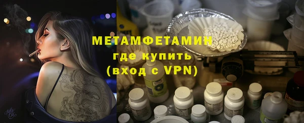 индика Волосово