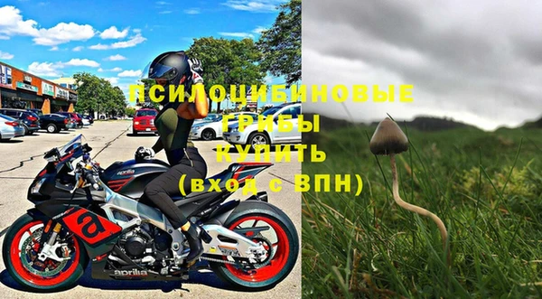 индика Волосово