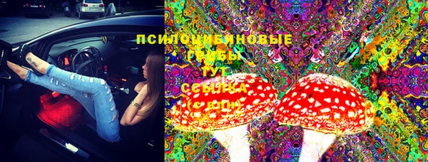соль ск Володарск