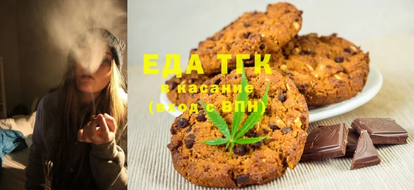 индика Волосово