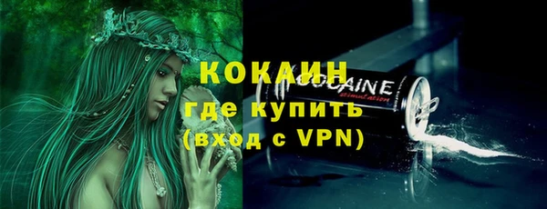 индика Волосово